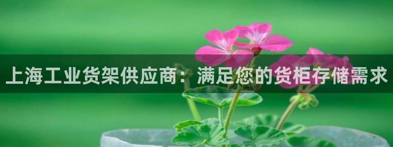 杏运平台注册登录