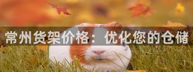 杏运注册登录地址