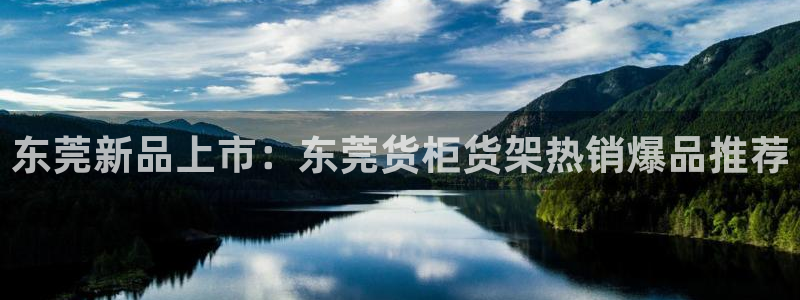 杏运体育官方网址：东莞新品上市：东莞货柜