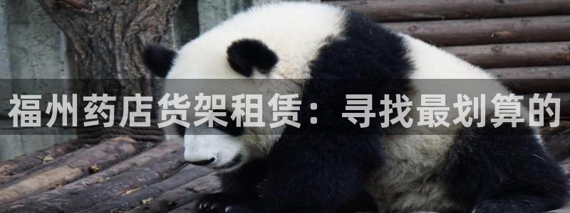 杏运体育娱乐：福州药店货架租赁：寻找最划