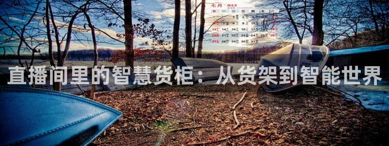 杏运注册登录地址：直播间里的智慧货柜：从