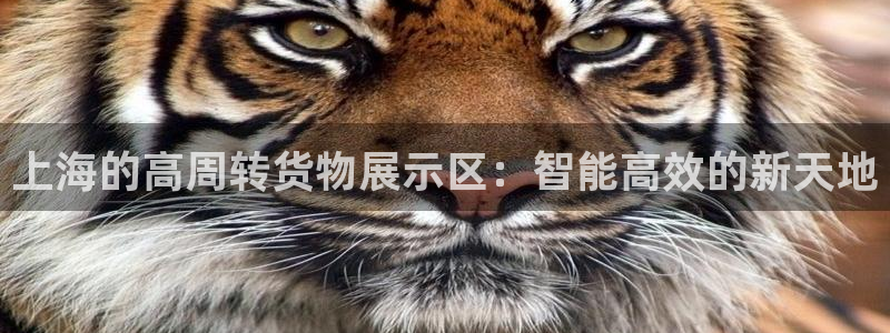 杏运平台注册：上海的高周转货物展示区：智