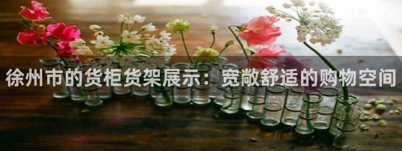 杏运新能源：徐州市的货柜货架展示：宽敞舒