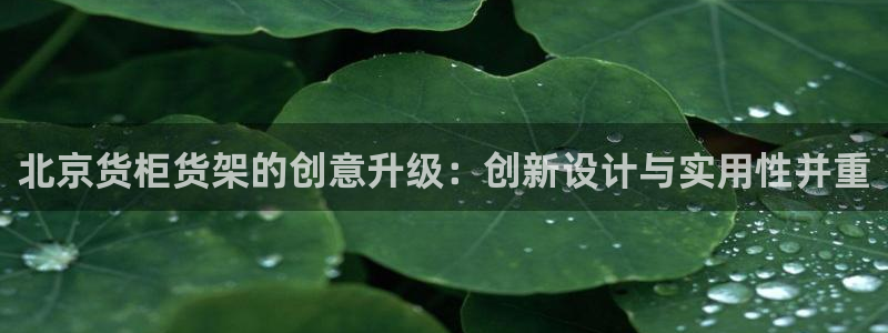 杏运注册登录：北京货柜货架的创意升级：创