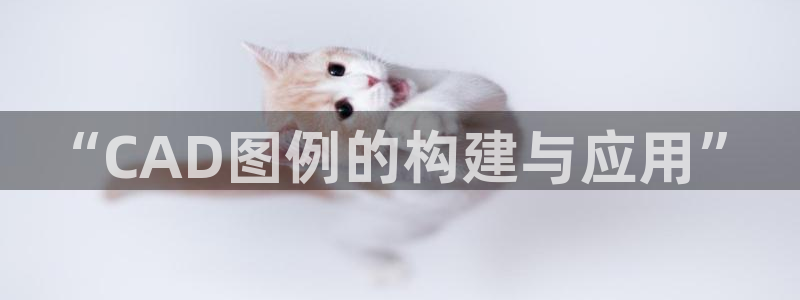 杏运体育怎么样