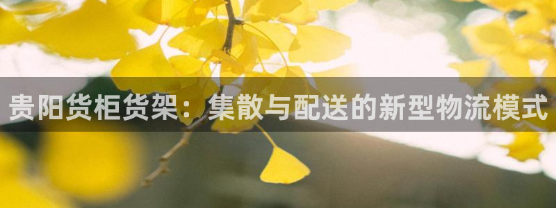 杏运平台代理：贵阳货柜货架：集散与配送的