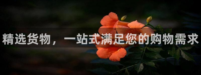 杏运娱乐怎么样