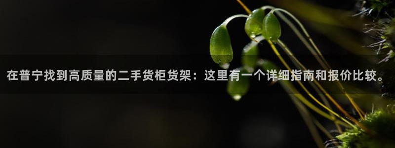 杏运体育官方网址登录