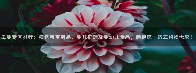 杏运娱乐平台注册地址在哪里