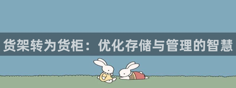 杏运体育怎么样：货架转为货柜：优化存储与