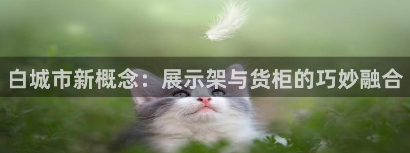 杏运体育怎么样：白城市新概念：展示架与货