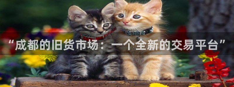 杏运体育平台正规吗安全吗可信吗