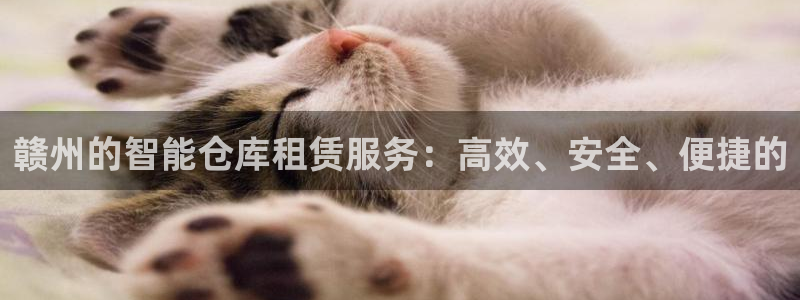 杏运注册账号：赣州的智能仓库租赁服务：高