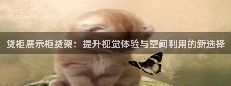杏运平台登陆：货柜展示柜货架：提升视觉体