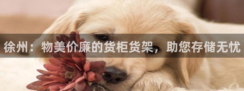 杏运体育官方网址