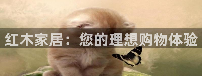 杏运相伴：红木家居：您的理想购物体验