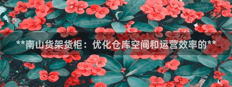 杏运体育怎么样：**南山货架货柜：优化仓