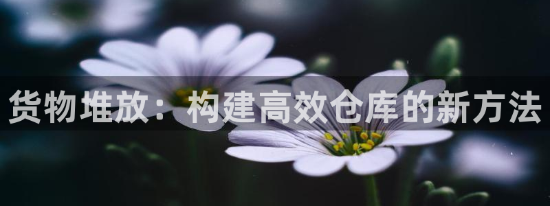 杏运娱乐平台注册地址在哪里